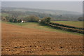 Bridleway towards Paddington Farm, Abinger