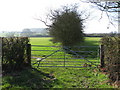 Gate to fields near Prior