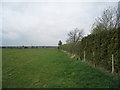 The footpath to Car Dyke Bridge