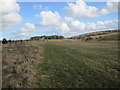 Bellridge Fell near Walldridge Cottages