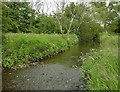 River Rea, Selly Park