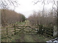 Track leading to Haugh Neb (Quarry Disused)