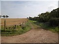 Bridleway leaves road