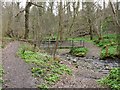 Footbridge, Walbottle Dene