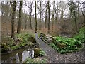 Footbridge, Walbottle Dene