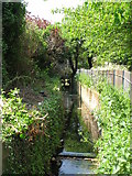 TQ3669 : The Chaffinch Brook - Elmers End Branch, east of Beck Lane, BR3 (3) by Mike Quinn