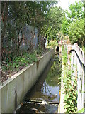 TQ3669 : The Chaffinch Brook - Elmers End Branch, east of Beck Lane, BR3 (7) by Mike Quinn