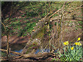 Fallen tree beside Deich Burn