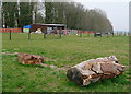 Stables at Strangways