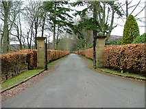 NN9328 : Driveway to Glenalmond House by Dave Fergusson