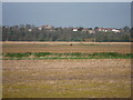 View to Winchelsea