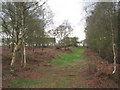 Track to Ellerholme Farm