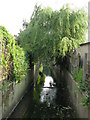 The Chaffinch Brook south of Queen