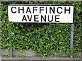 Sign for Chaffinch Avenue, CR0