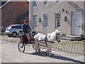 Pony and trap in Old Edinburgh Road