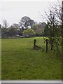 View across field next to the B2138