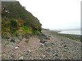 The coast at Pennar looking East