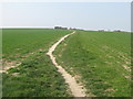 Footpath to Walmer