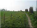 Footpath to Glen Road