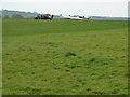 Preparation for takeoff at the Southdown Gliding club