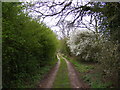 TM3860 : Footpath & entrance to Manor Farm by Geographer