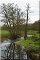 River Colne by Chalkney Mill