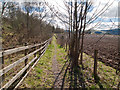 Footpath beside M90