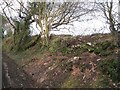 SX7751 : Damaged hedgebank below Stanborough  by Robin Stott