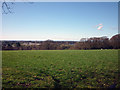 The view from Snowhill Lane above Scorton