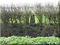 Triangulation Pillar near Denford Ash