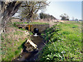 Half a Wall in the Brook