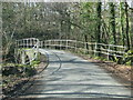 Road through the woods