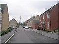 Looking up Towler Drive