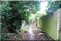 Footpath parallel to Mount park Avenue (5)