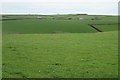 Higher Heathfield from near Wallaton Cross