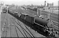 An Up freight on the ECML approaching York Yard North