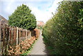 Footpath off Collinswood Drive