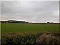 Warwickshire farmland