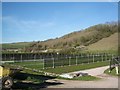 Sydling Water: watercress beds at Magiston