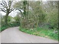 Toby Lane passing the entrance to a small wood