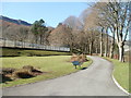 Path through Blaenrhondda Park