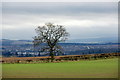 Looking towards Perth from Burnside Farm, Stanley