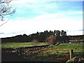 A field drain to the River Dee