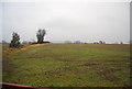SO3873 : Farmland and hedge by N Chadwick