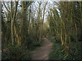 Connecting footpath in The Lynch