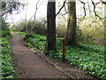 Footpath in Erddig Park