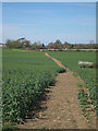 Footpath near Lewsome Farm