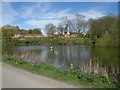 The village pond at Lidgate