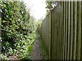 Fence boundary for Fryern Hall Farm