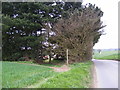 Footpath to Walpole Water Treatment Works